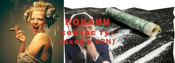 стаф Аркадак