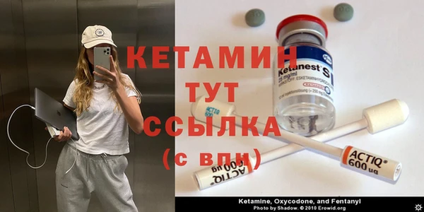 стаф Аркадак