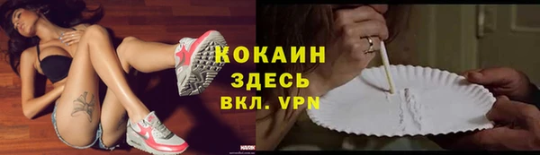 гидра Арсеньев