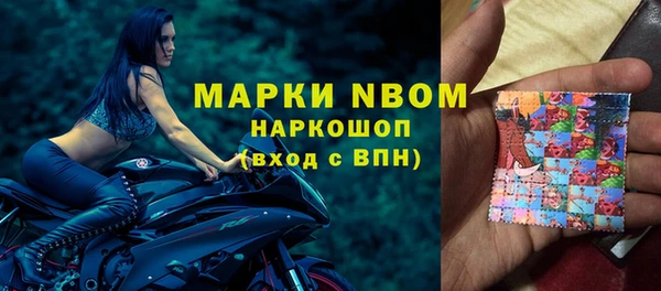 гидра Арсеньев