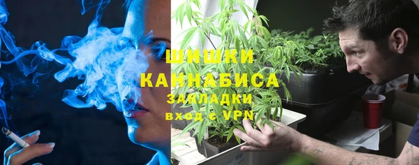 стаф Аркадак
